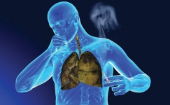 Các thuốc điều trị viêm phổi