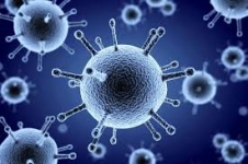 Những điều cần biết về virus cúm A